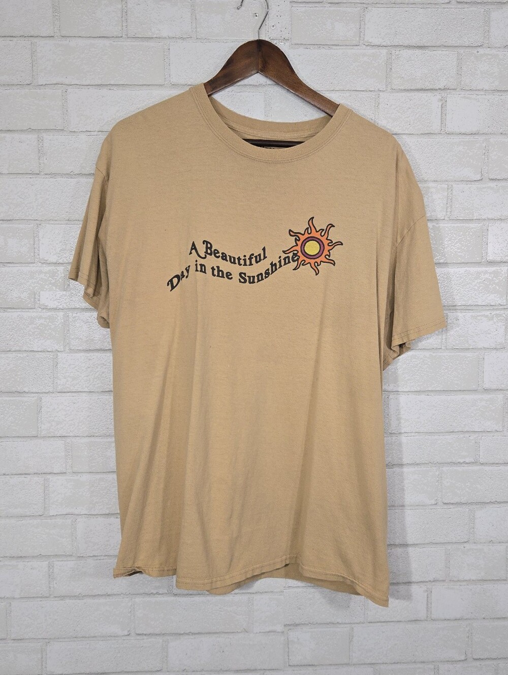 "A Beautiful Day in the‎ Sunshine" cute vintage  graphic tee